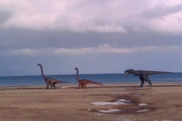 亨利投资 光明时评：赛里木湖里有恐龙？景区打造无需一直做加法