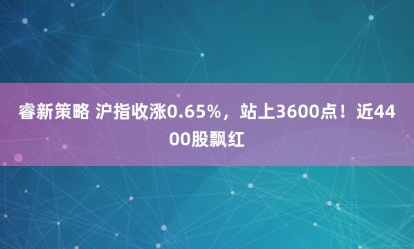 睿新策略 沪指收涨0.65%，站上3600点！近4400股飘红