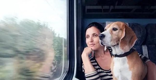 云上速融 狗狗坐电车有讲究，3个准备不能少，出行省心又安全